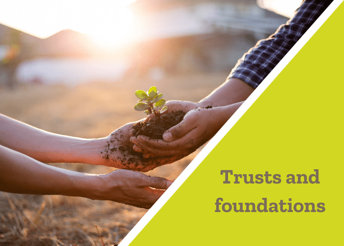 Trusts and foundations